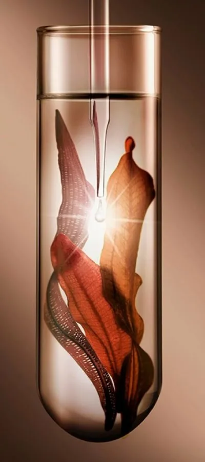 producto cosmético rituales hop 2